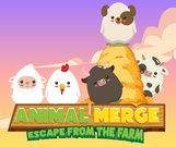 Stray Puppy Pet Care - Click Jogos